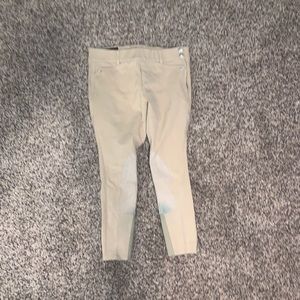 Ariat Olympia Show Breech - 28R